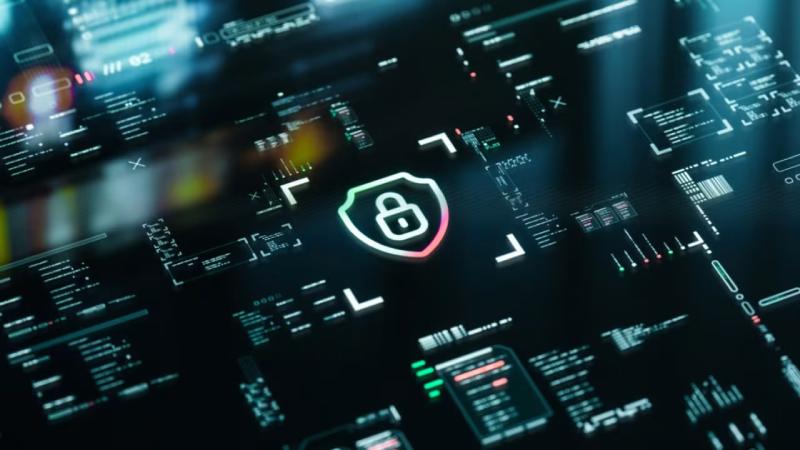 新疆软件开发公司
